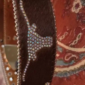 Atlas | Accessories | Atlas Texas Longhorn Brown Calf Hair  display picture 2